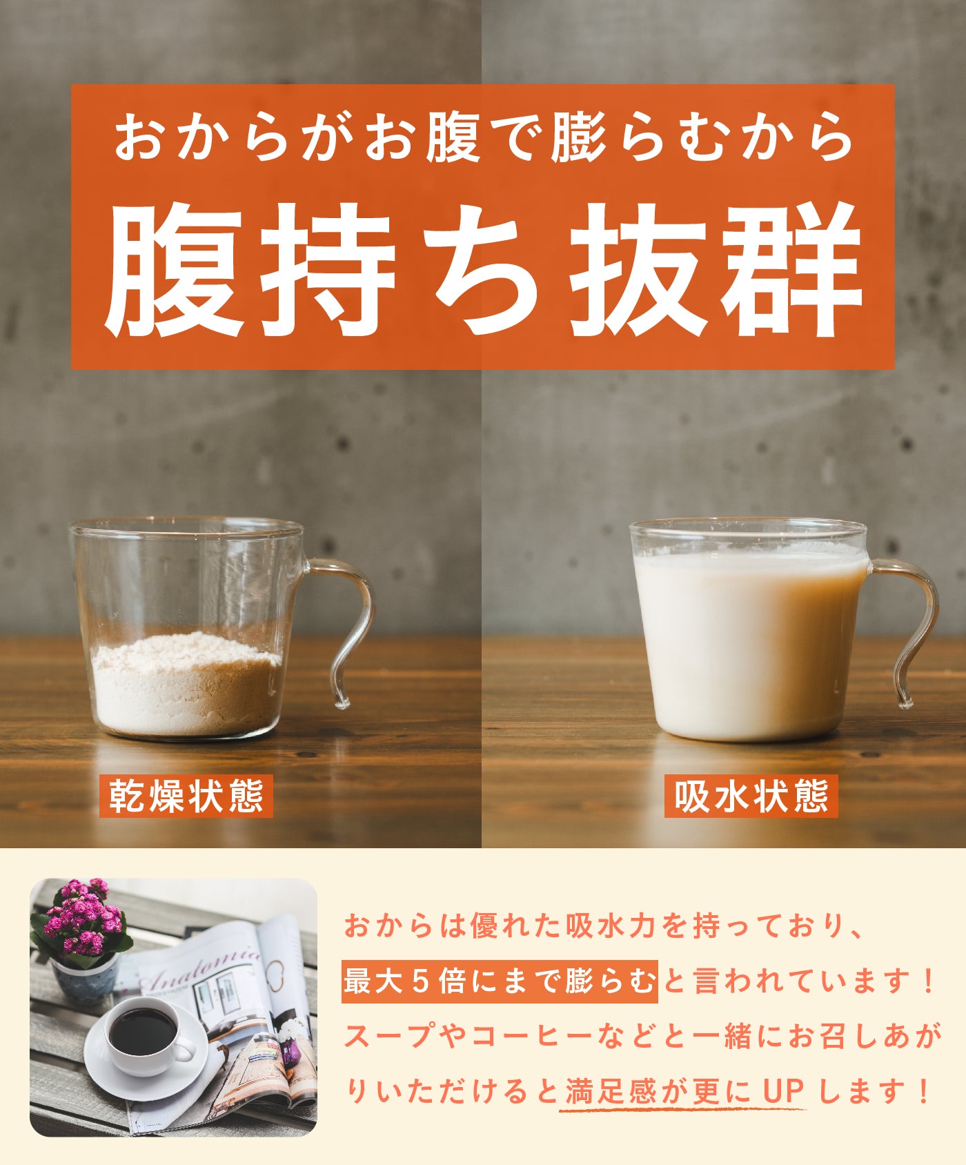 もちもち!おからぽんで12袋セット