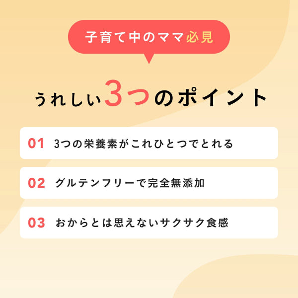 真面目なおからクッキー ココア