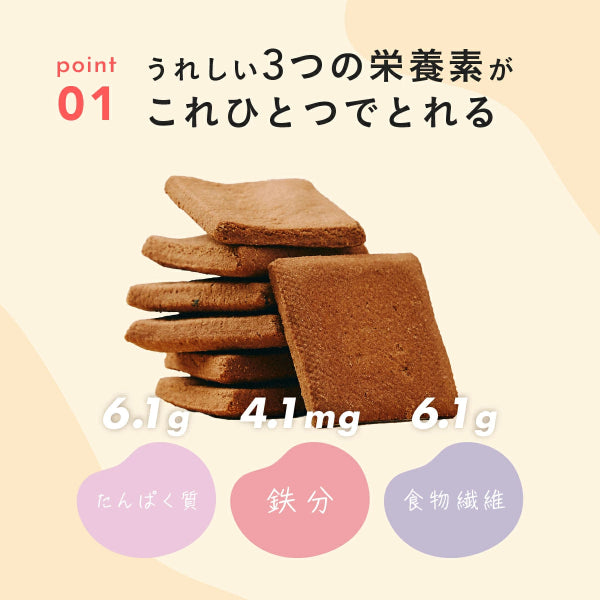 真面目なおからクッキー ココア