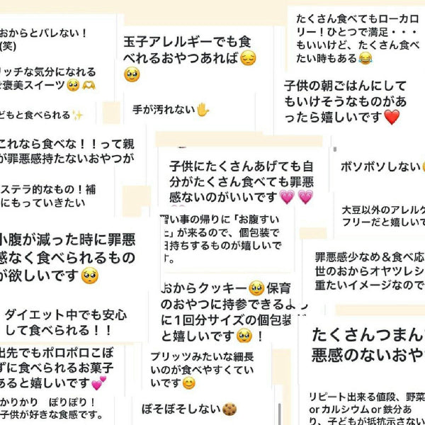 真面目なおからクッキー ココア