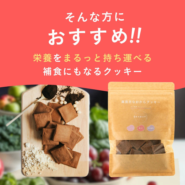 真面目なおからクッキー ココア